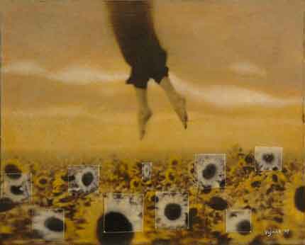flight-over-sunflower-fieldsm
